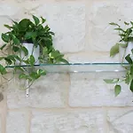 Fiori E Follie *